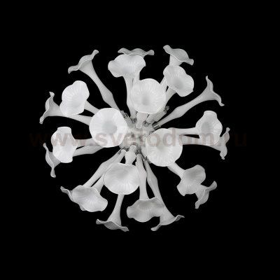 Светильник настенный Lightstar 891656 Bardano