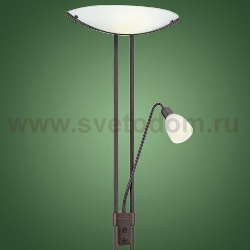 Торшер Eglo 89785 Baya 2