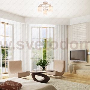 Потолочный светильник Экономсвет 90257/3DR MK