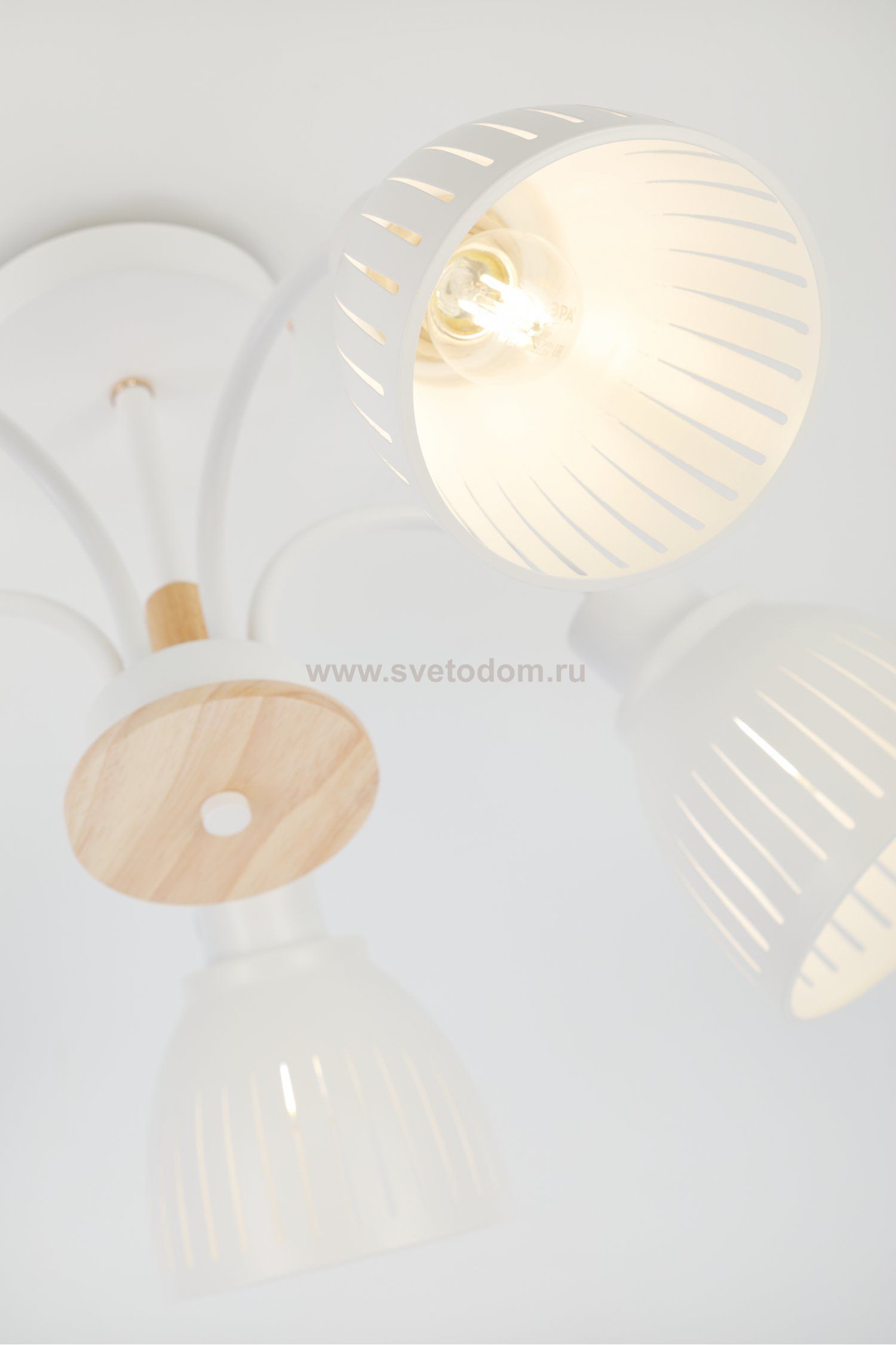 Люстра Rivoli Lulu 9029-305 5 х E27 60 Вт модерн