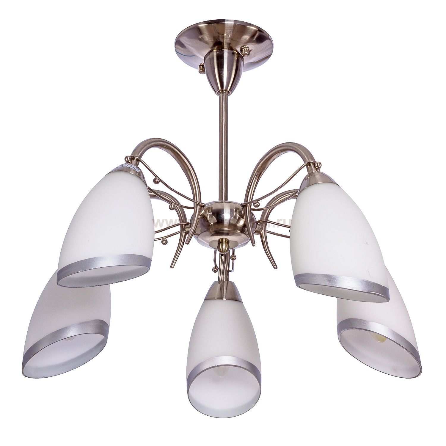 Потолочный светильник Экономсвет 90542G/5SN MK