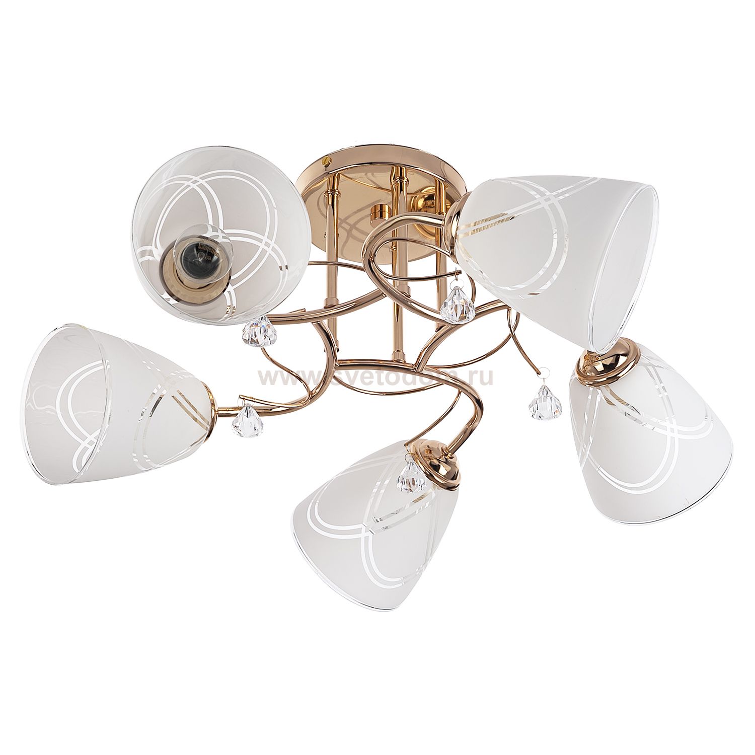 Потолочный светильник Экономсвет 91005/5FGD WT