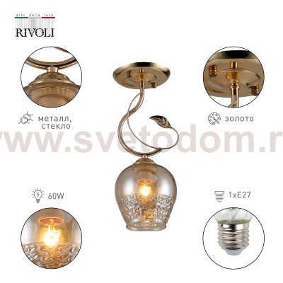 Светильник потолочный Rivoli Kimberly 9111-201 1 * Е27 60 Вт модерн для натяжных потолков