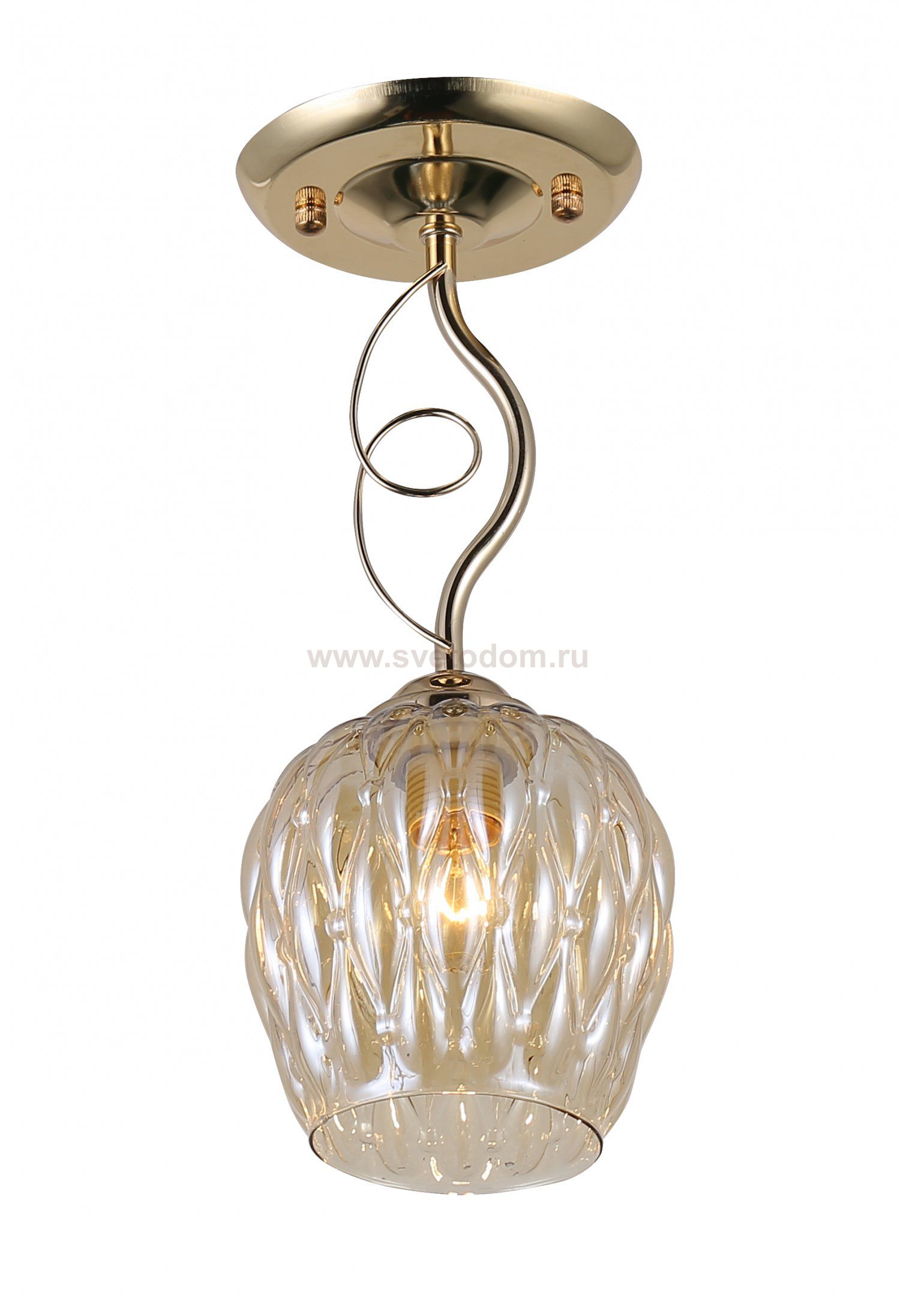 Светильник потолочный Rivoli Daiane 9120-201 1 х Е27 40 Вт модерн для натяжных потолков