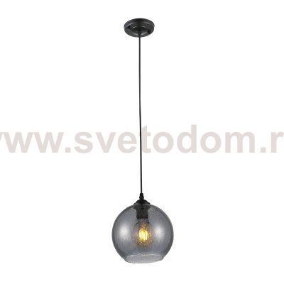 Светильник подвесной (подвес) Rivoli Estera 9128-201 1 * Е27 60 Вт модерн потолочный