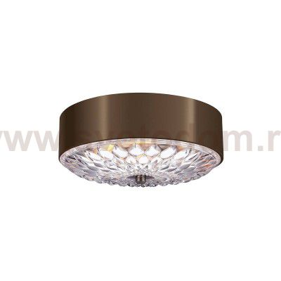 Потолочный светильник Natural concept FE/BOTANIC/F/M BOTANIC