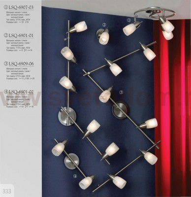 Светильник поворотный спот Lussole LSQ-6901-02 CEVEDALE