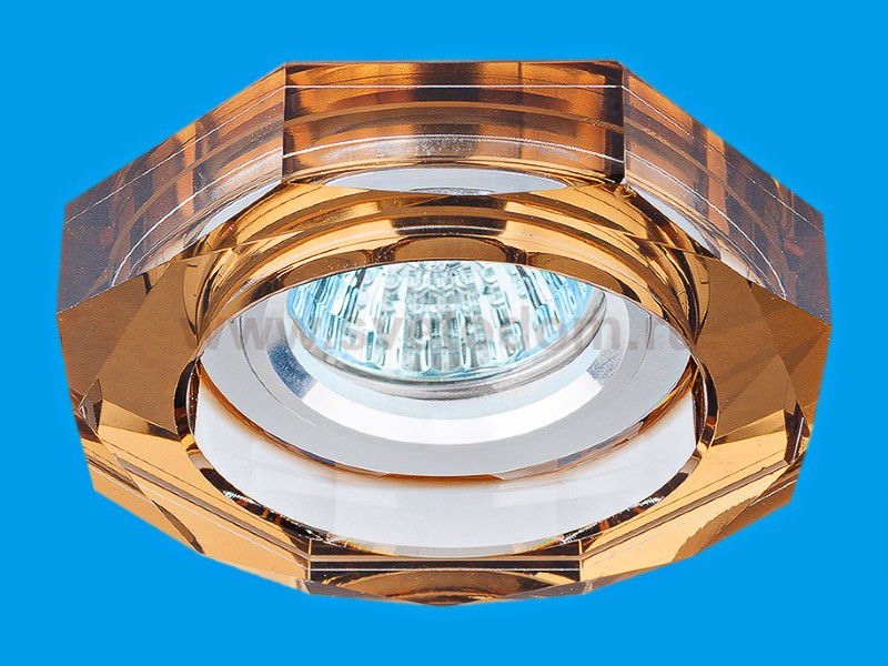 Точечный светильник 923-2TEA Экономсвет