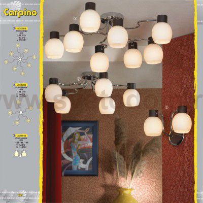 Светильник настенный бра Lussole LSC-8501-02 CARPINO