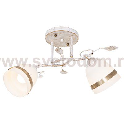 Светильник ЭкономСвет 9352/2WG WT+AB