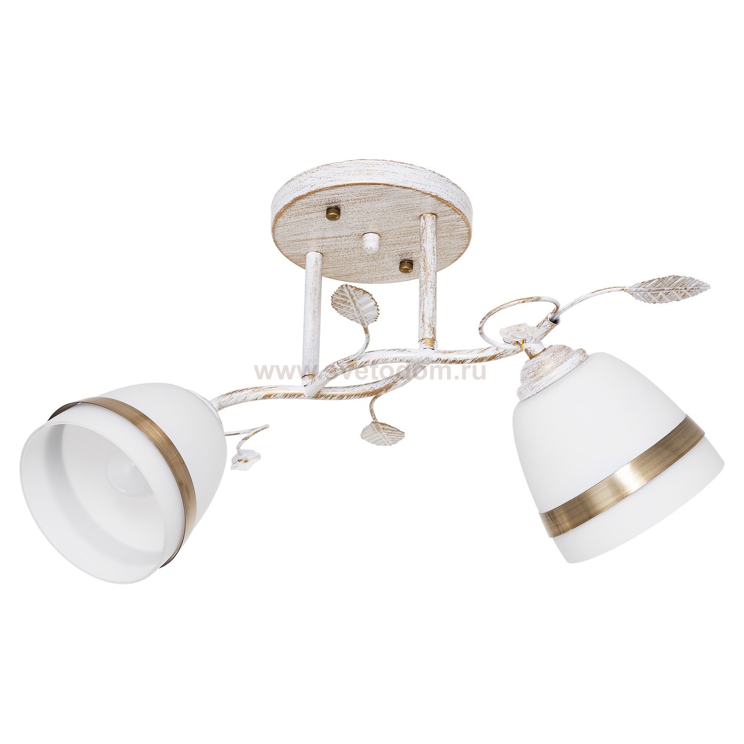 Светильник ЭкономСвет 9352/2WG WT+AB