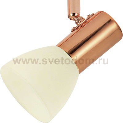 Светильник поворотный спот Eglo 94738 GLOSSY 2