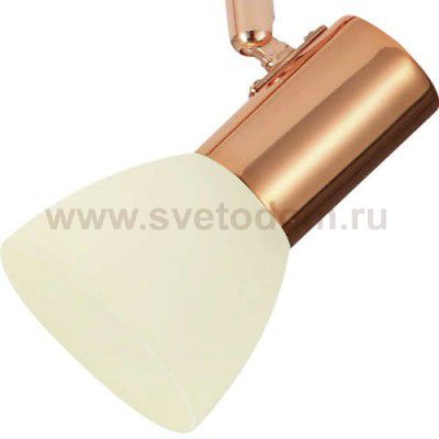 Светильник спот Eglo 94739 GLOSSY 2