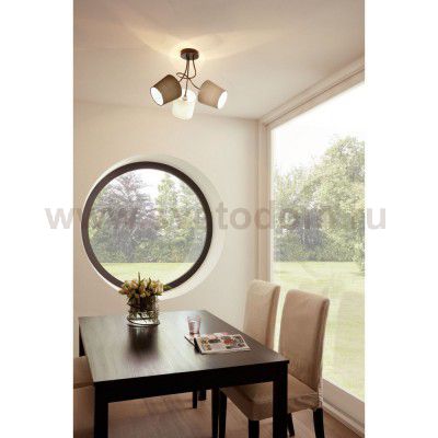 Настенно-потолочный светильник Eglo 95192 ALMEIDA