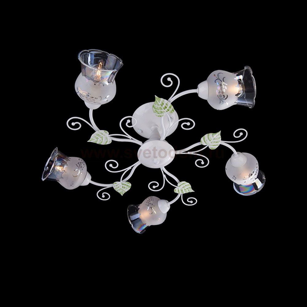 Светильник Eurosvet 9605/5 белый