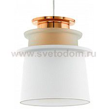 Подвесной светильник Eglo 96873 SCAZON
