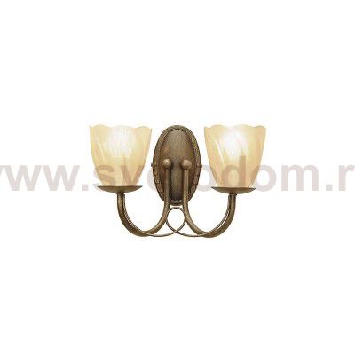 Бра Natural concept MN2 BLK/GOLD MINSTER
