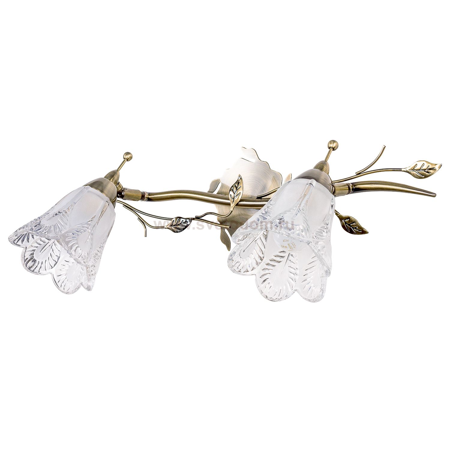 Спотовый светильник Экономсвет 99181A/2wAB