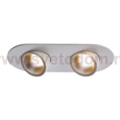 Светильник потолочный Arte lamp A1212PL-2WH CARDANI