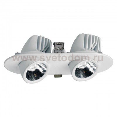 Светильник потолочный Arte lamp A1212PL-2WH CARDANI