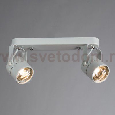 Светильник потолочный Arte lamp A1310PL-2WH LENTE