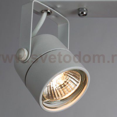 Светильник потолочный Arte lamp A1310PL-2WH LENTE