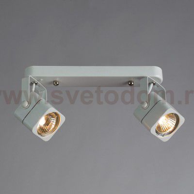 Светильник потолочный Arte lamp A1314PL-2WH LENTE