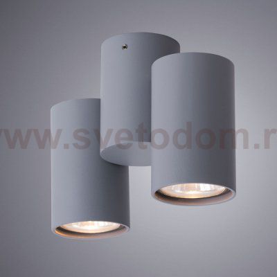 Светильник потолочный Arte lamp A1511PL-2GY GAVROCHE