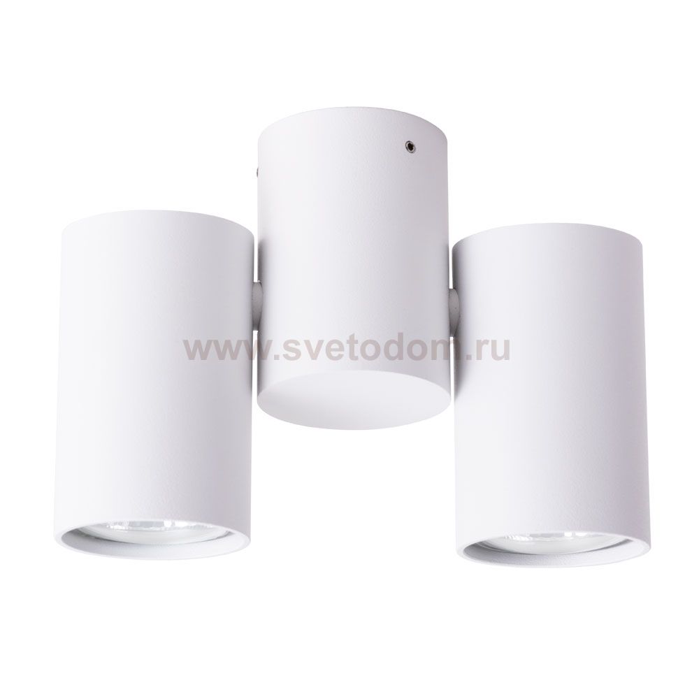 Светильник потолочный Arte lamp A1511PL-2WH GAVROCHE