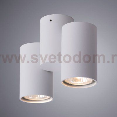 Светильник потолочный Arte lamp A1511PL-2WH GAVROCHE