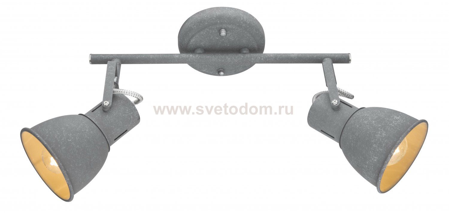 Светильник потолочный Arte lamp A1677PL-2GY JOVI