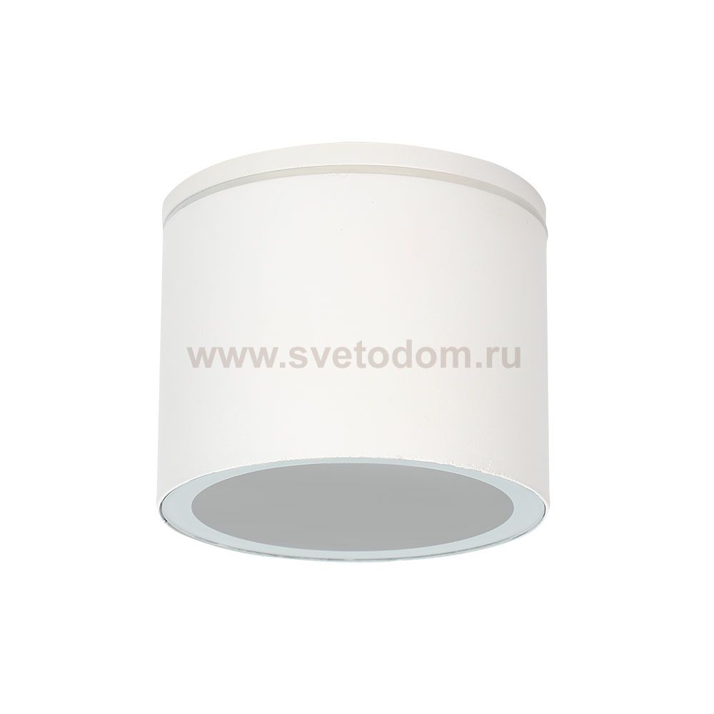 Уличные потолочные светильники Arte Lamp A1913PF-1WH PIAUTOS