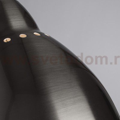 Светильник настольный Arte lamp A2054LT-1SS BRACCIO