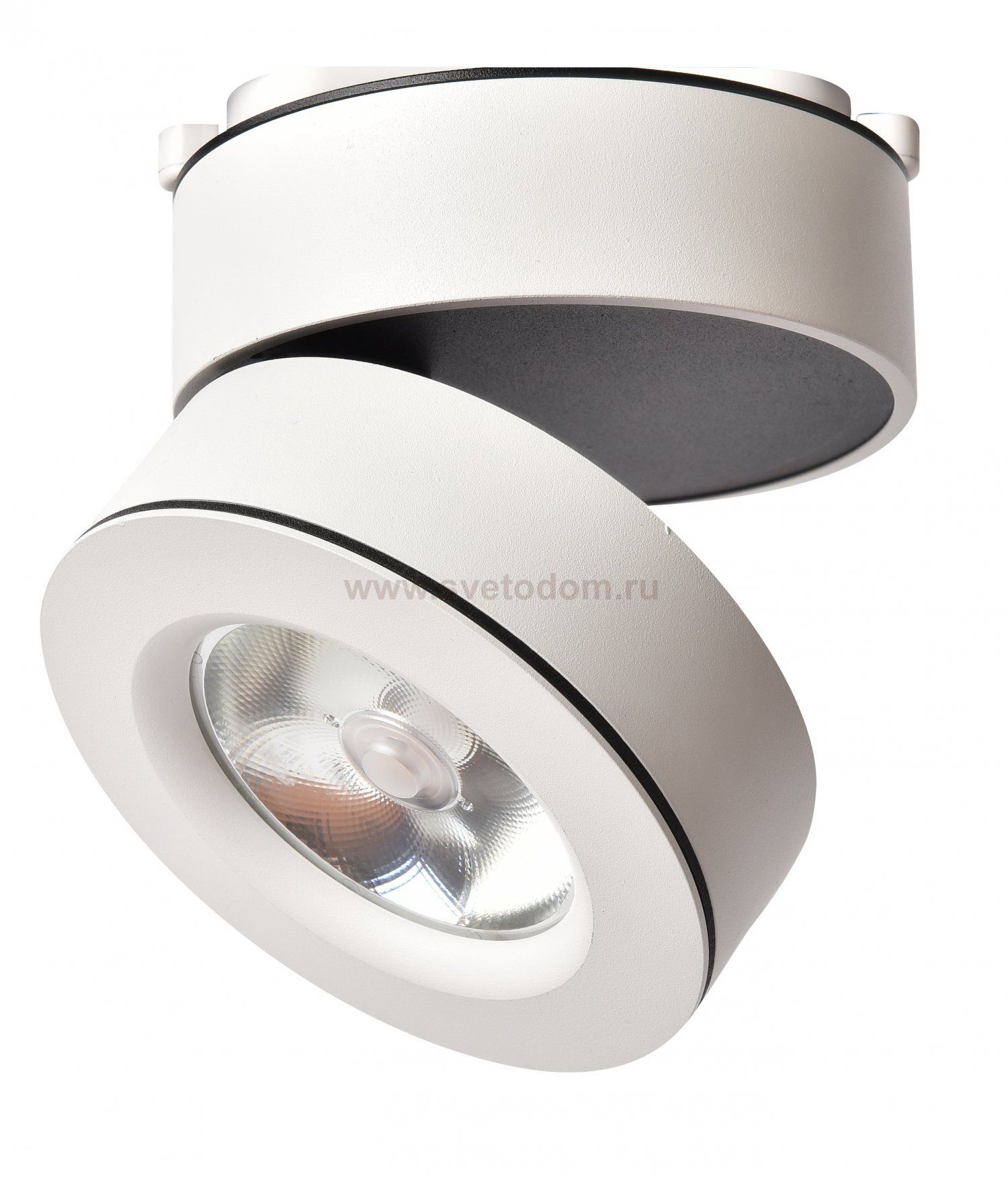 Светильник потолочный Arte lamp A2511PL-1WH VELA