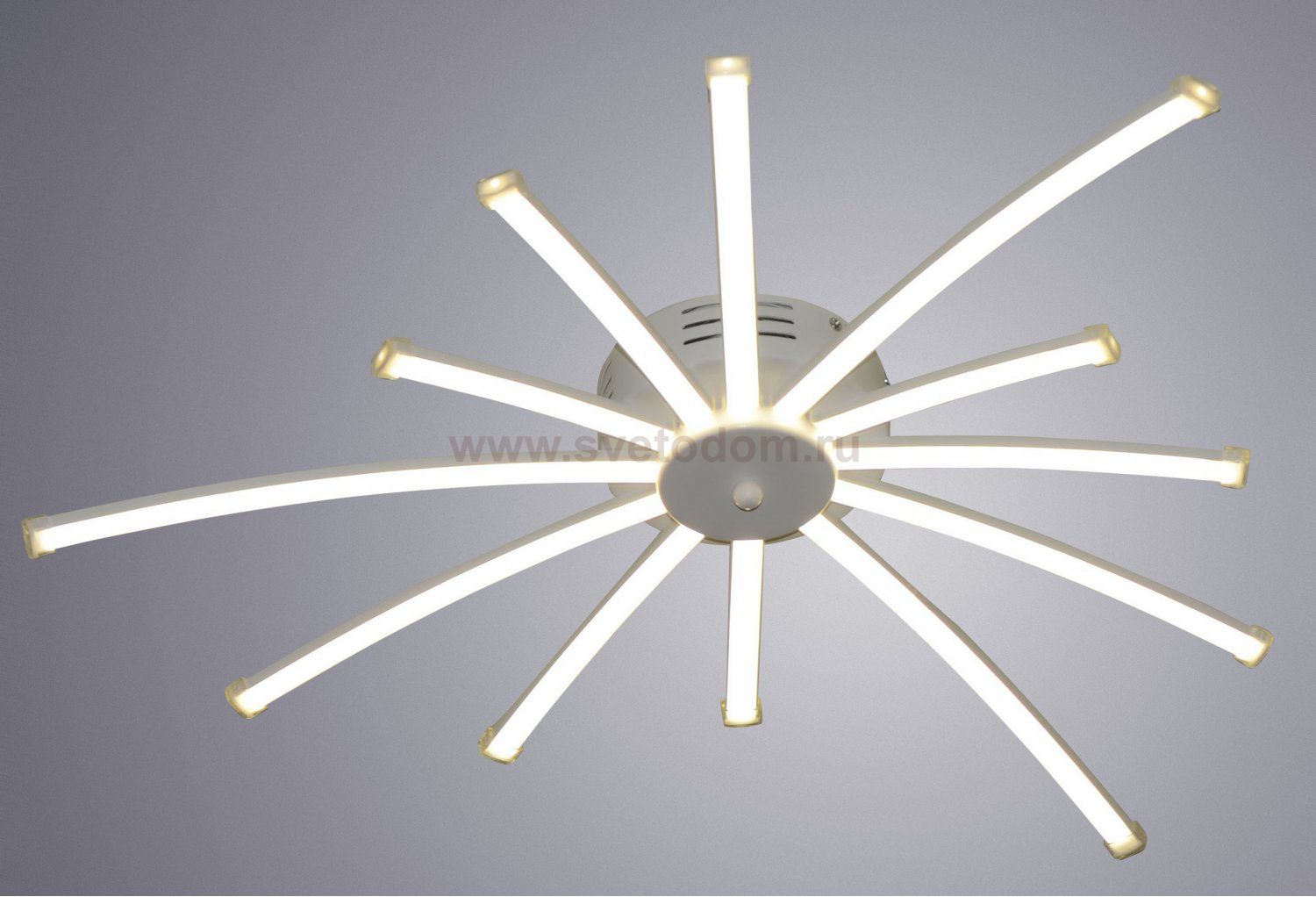 Светильник потолочный Arte lamp A2519PL-12WH 