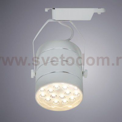 Светильник потолочный Arte lamp A2718PL-1WH CINTO