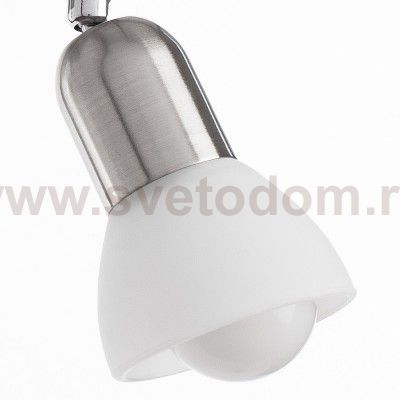 Светильник потолочный Arte lamp A3115PL-2SS FALENA