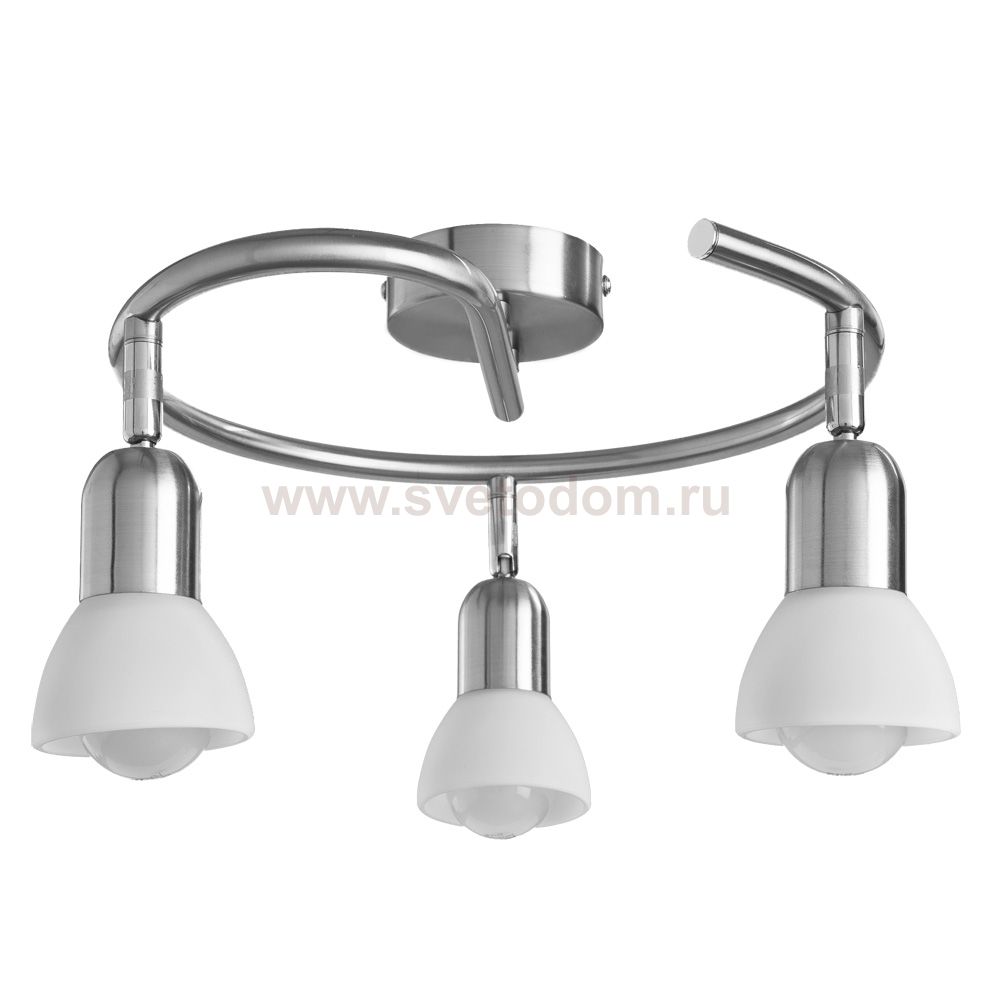 Светильник потолочный Arte lamp A3115PL-3SS FALENA