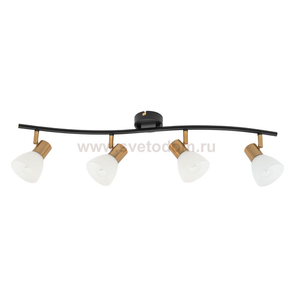 Светильник потолочный Arte lamp A3117PL-4BK FALENA