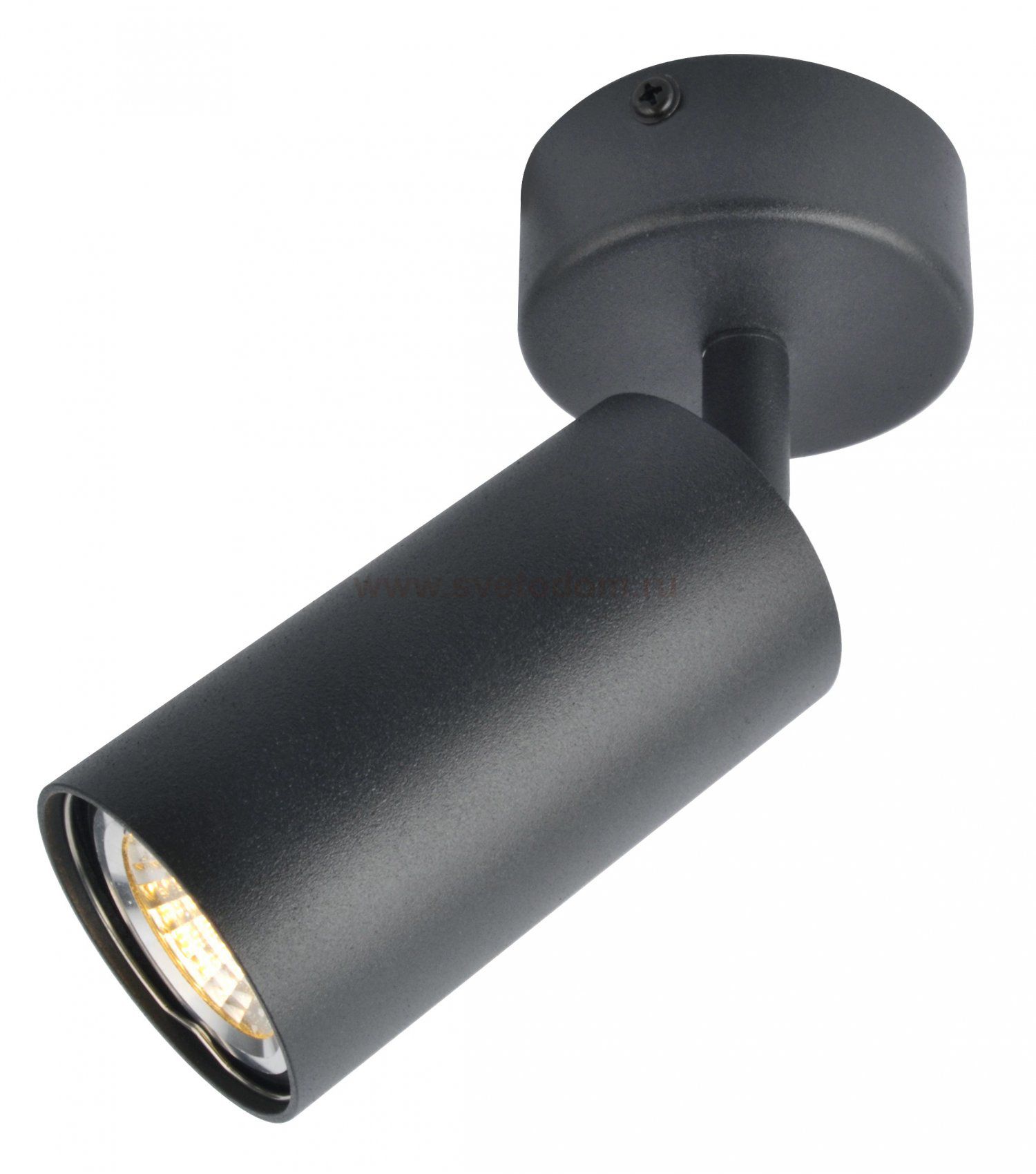 Светильник поворотный Arte Lamp A3216PL-1BK AQUARIUS