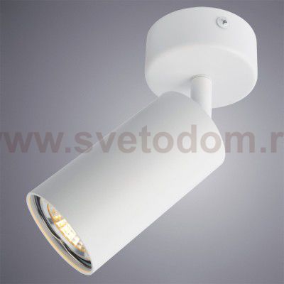 Светильник поворотный Arte Lamp A3216PL-1WH AQUARIUS