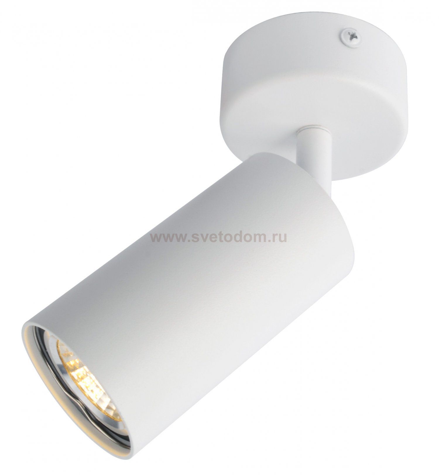 Светильник поворотный Arte Lamp A3216PL-1WH AQUARIUS
