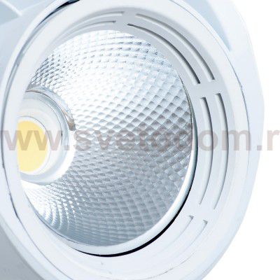 Светильник потолочный Arte lamp A3930PL-1WH LYNX