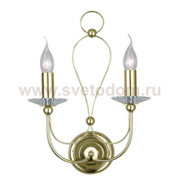 Светильник настенный Arte Lamp A4292AP-2PB Birdcage