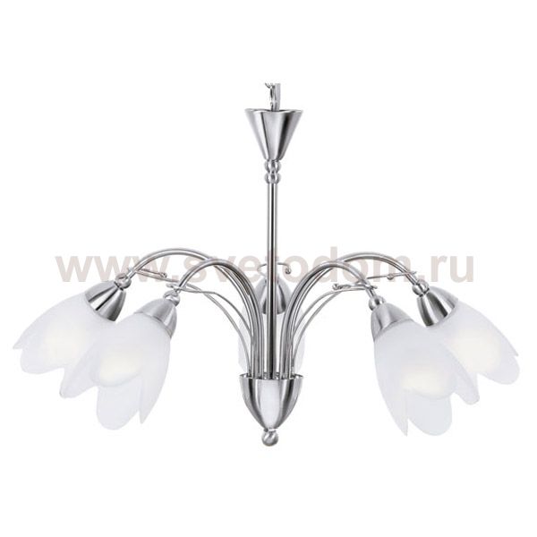 Люстра Arte Lamp A4905LM-5SS Petal