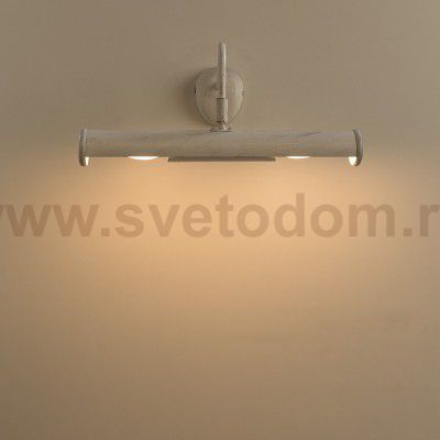 Светильник для картин Arte lamp A5023AP-2WG Picture light