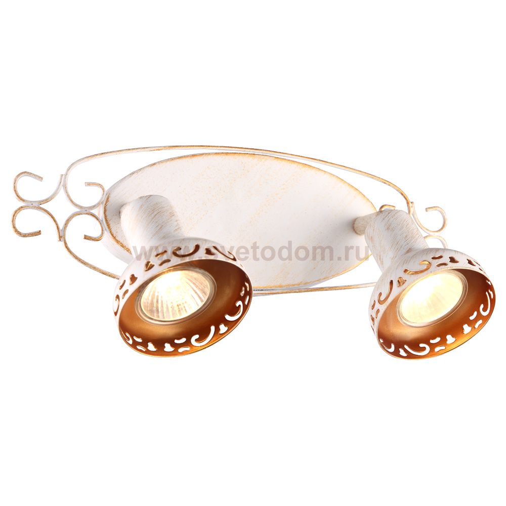 Светильник настенный Arte lamp A5219AP-2WG FOCUS