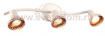 Светильник потолочный Arte lamp A5219PL-3WG FOCUS