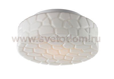 Потолочный светильник Arte lamp A5325PL-2WH Aqua
