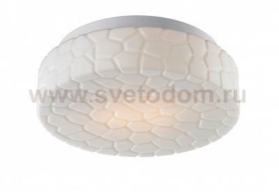 Потолочный светильник Arte lamp A5330PL-2WH Aqua
